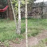 Ajurweda Na Jurze Farm stay *
