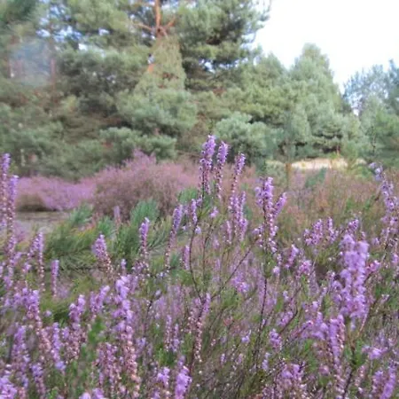 Lantgård Ajurweda Na Jurze Choron