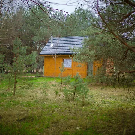 Ajurweda Na Jurze *