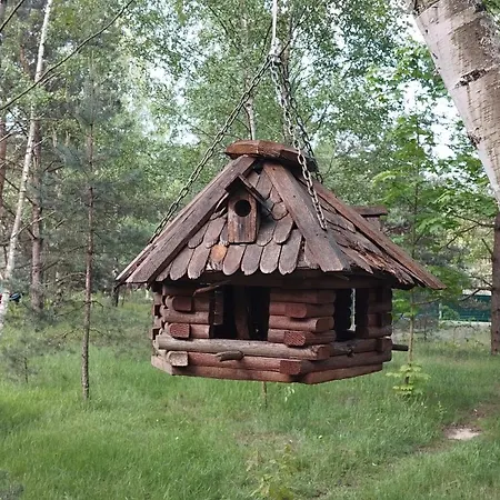 Ajurweda Na Jurze * Choron