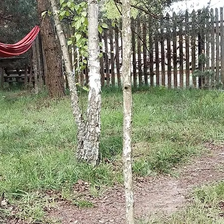 Ajurweda Na Jurze Farm stay *