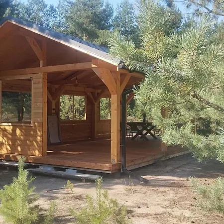 Ajurweda Na Jurze Choron