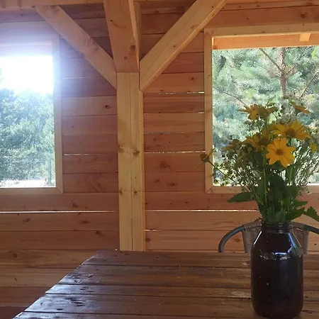 Ajurweda Na Jurze Choron