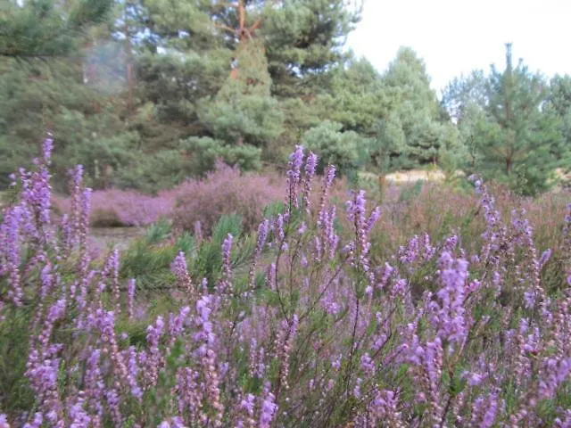 Vakantieboerderij Ajurweda Na Jurze Choron