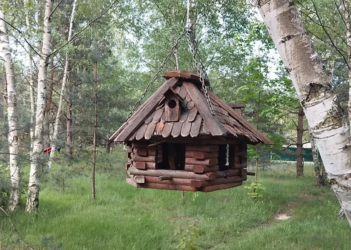 Ajurweda Na Jurze * Choron