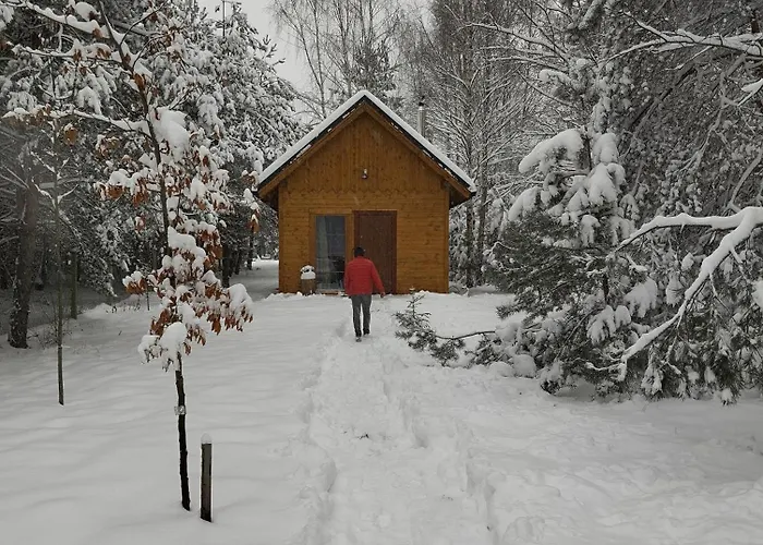 Ajurweda Na Jurze בית חווה Choron